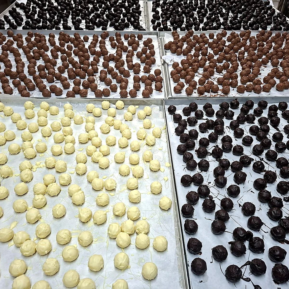 Pralinen in vier Sorten auf den Blechen